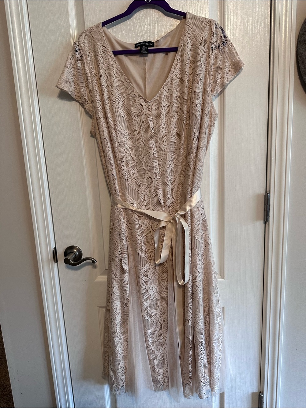 Adrianna Papell Lace Midi Dress in Light Beige with Satin Waist Tie